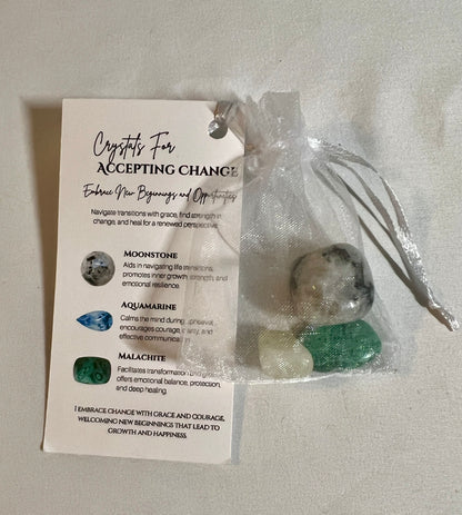 Crystal pouch for accepting change