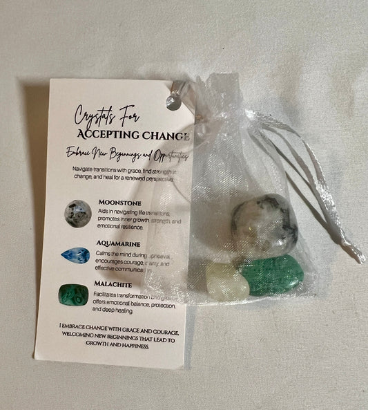 Crystal pouch for accepting change